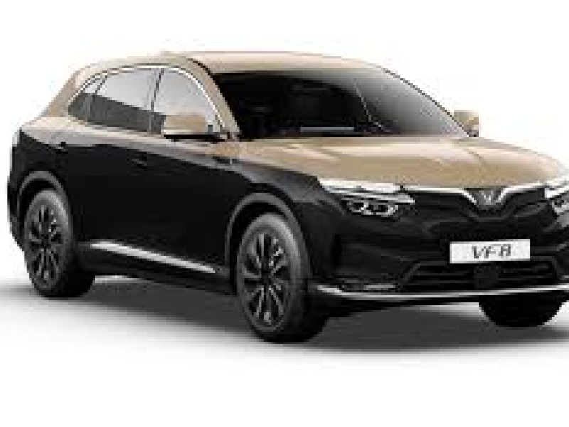 	Phụ kiện đồ chơi VF8