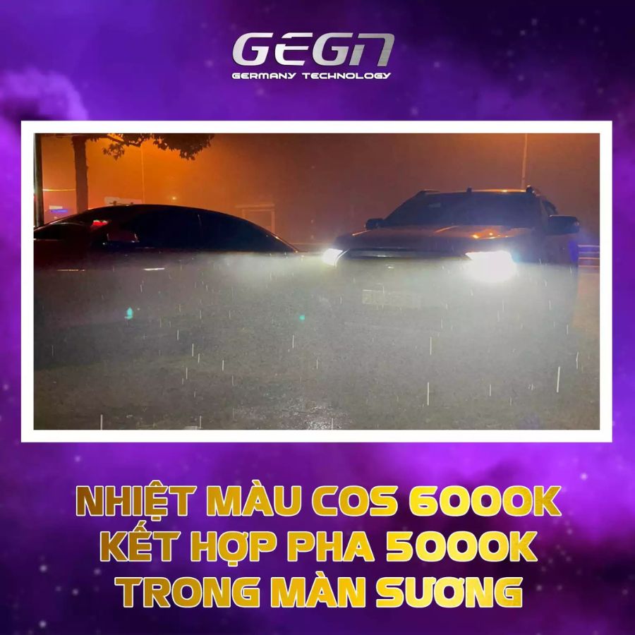 GEGN StechN