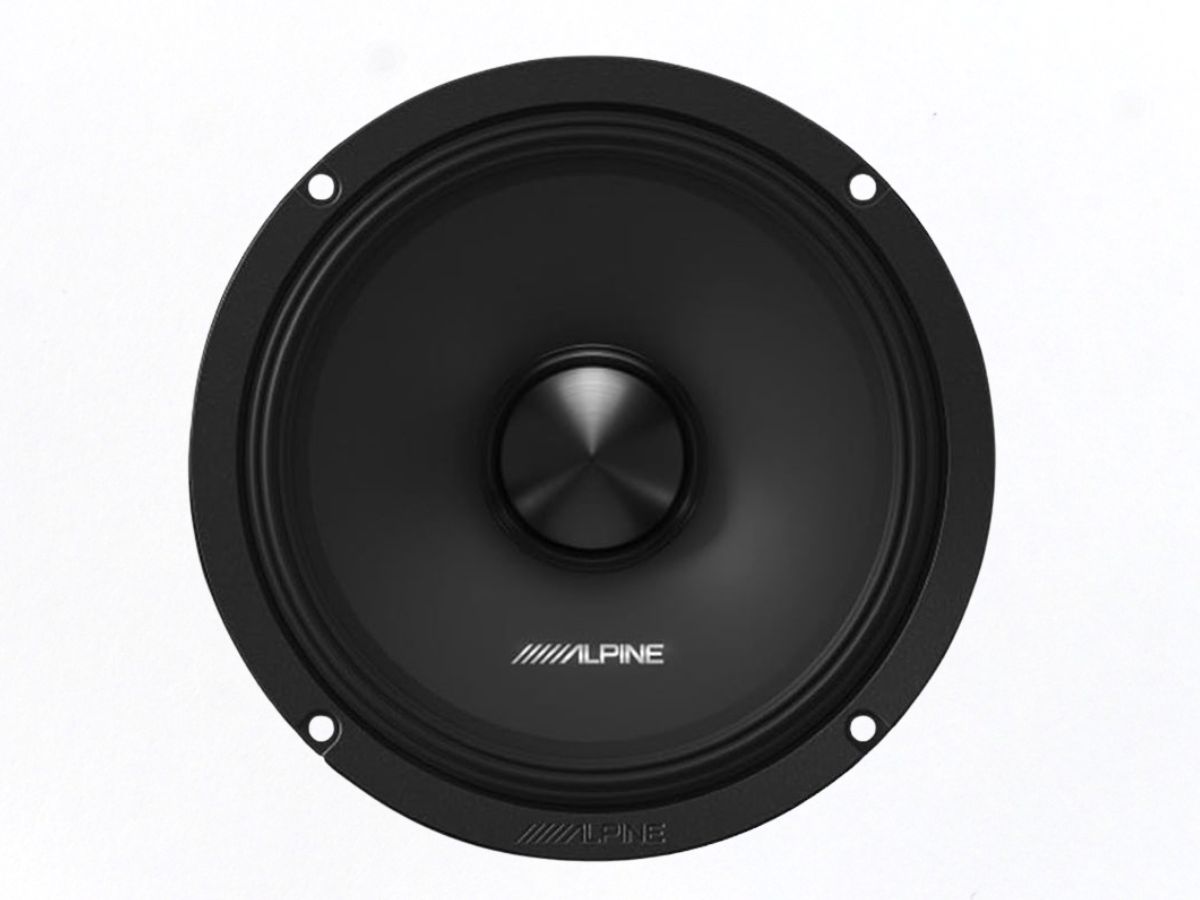 loa-alpine-2-way-65-inch-dm-65c