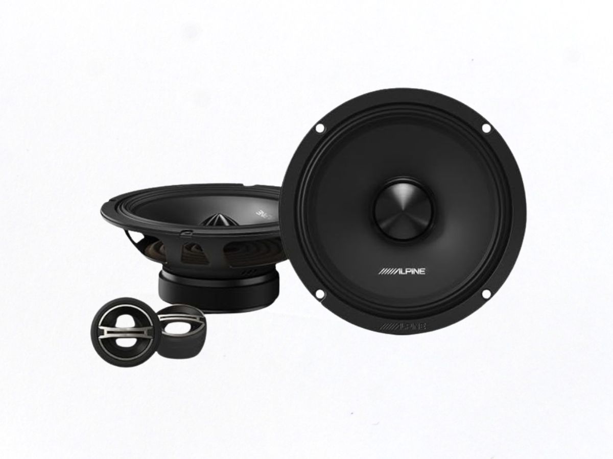 loa-alpine-2-way-65-inch-dm-65c