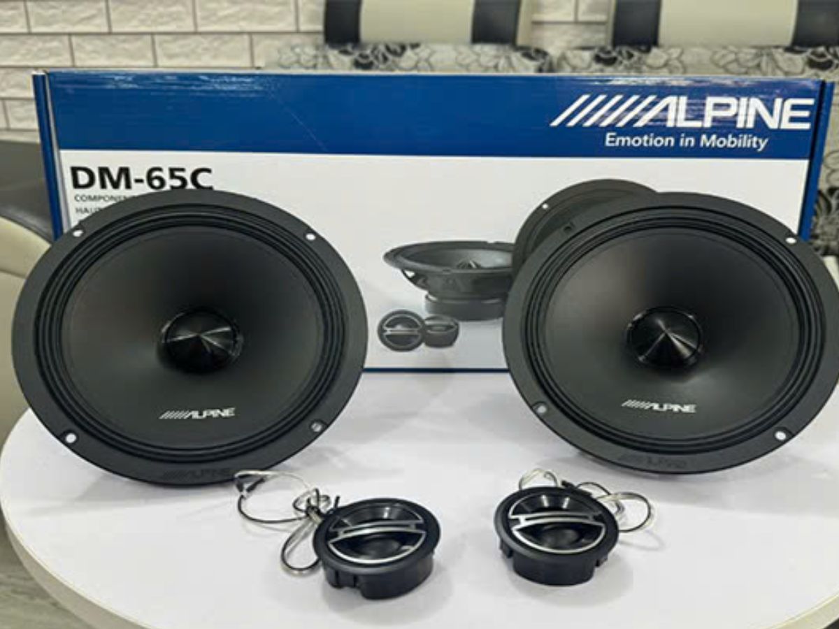loa-alpine-2-way-65-inch-dm-65c