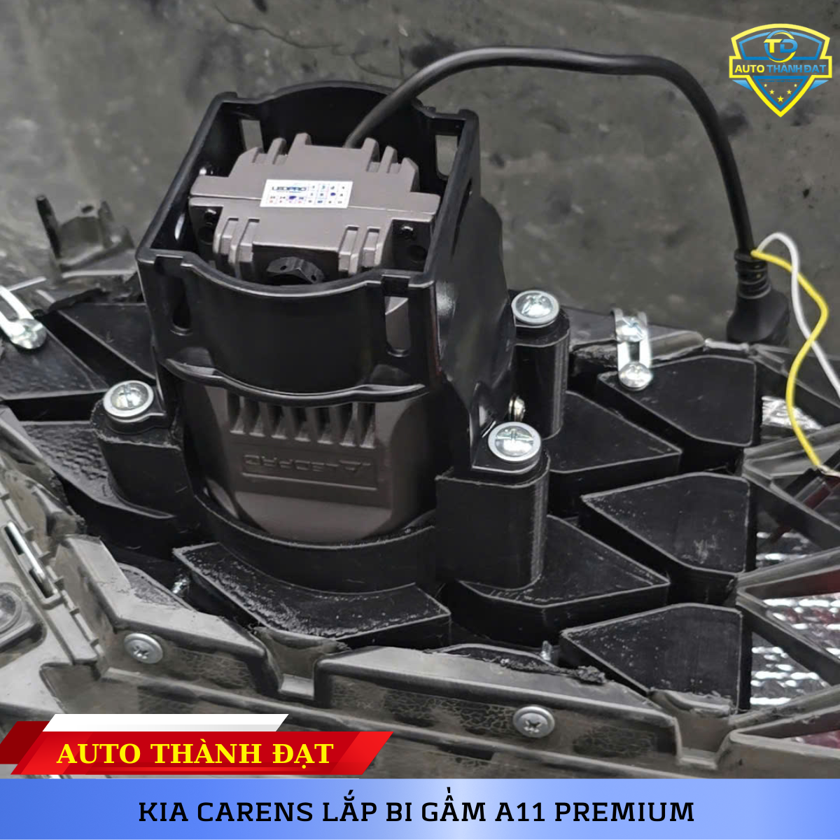 KIA CARENS LẮP BI GẦM A11 PREMIUM
