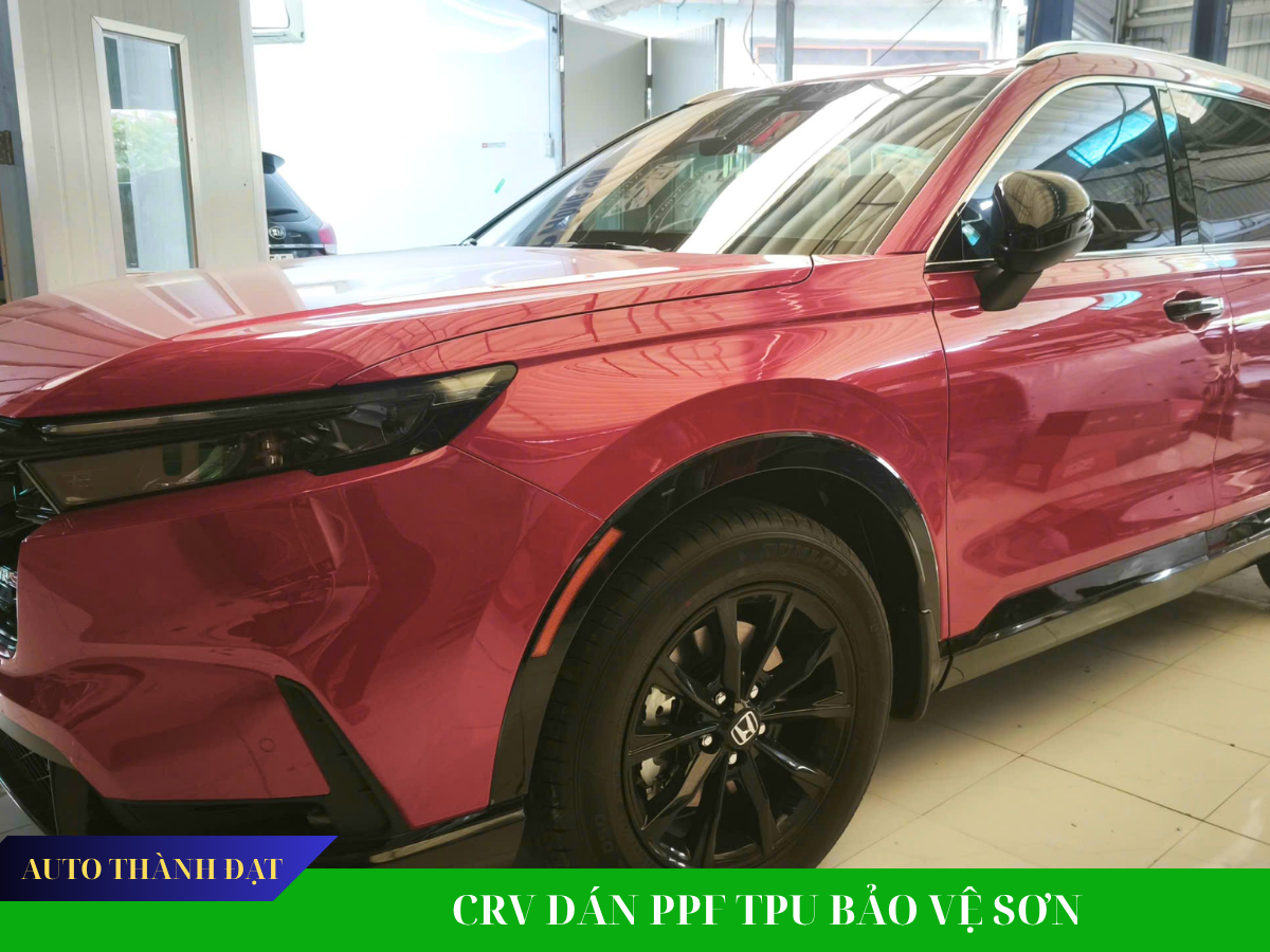 CRV DÁN PPF TPU BẢO VỆ SƠN