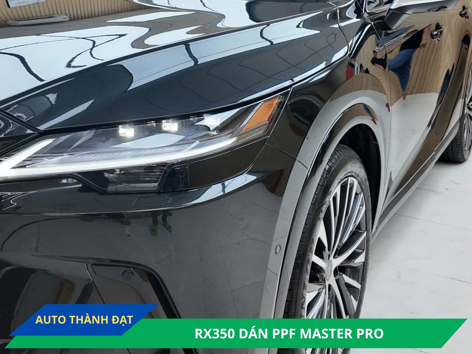 DÁN PPF CHO LEXUS RX350
