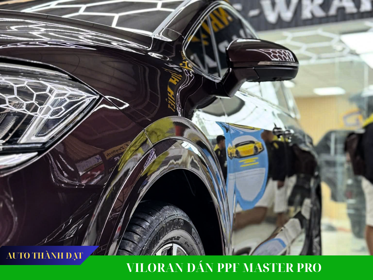 VILORAN DÁN PPF BẢO VỆ SƠN