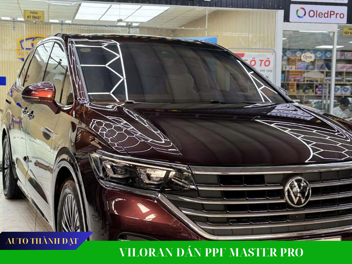 VILORAN DÁN PPF BẢO VỆ SƠN