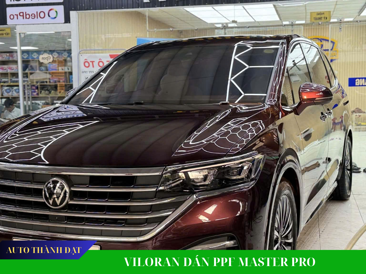 VILORAN DÁN PPF BẢO VỆ SƠN