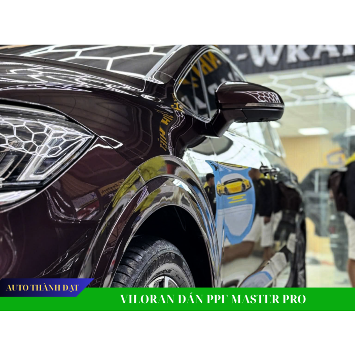 VILORAN DÁN PPF BẢO VỆ SƠN