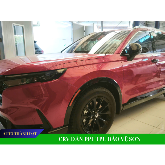 CRV DÁN PPF TPU BẢO VỆ SƠN