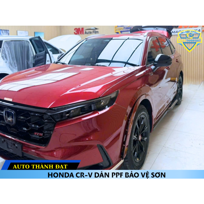 DÁN PPF CHO HONDA CRV